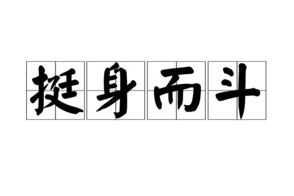 豁出命来摔——勇气与追求的象征