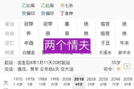 己卯命格解析：深度揭秘己卯人的性格与人生轨迹