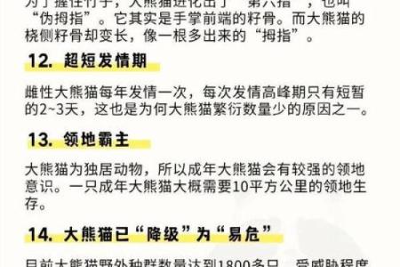 为什么熊猫的命比人重要？一探生命的珍贵与保护的意义