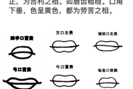 内双眼的女人命运解析：从面相看你的未来与性格