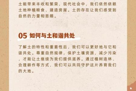 揭开城墙土命的神秘面纱：命理学中的土元素解析