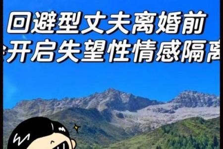 与血亲分离：探寻情感与命运的交织