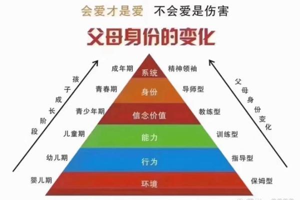 探索命理：如何理解父母与儿子之间的命运关系