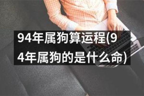 2020年属狗人的命运解析与人生发展建议