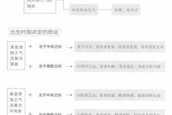 探秘大林木命：适合的数字与命理智慧