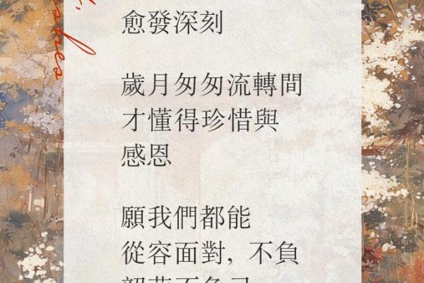 探寻中年人生：命理中的秘密与启示