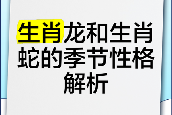 1928年属龙人命运解析：富贵与挑战并存的一生