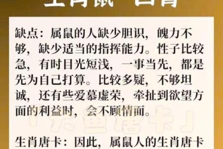 海中金命的相克与和谐：破解命理中的五行之谜