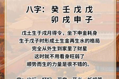 2023年鸡年运势解析：让我们一起探索命理之美！