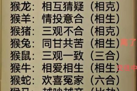 属相猴命运解析：哪种猴命最好以及其性格特点与运势