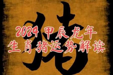 探索属猪命运：1947年出生的那些人如何走向成功与幸福？