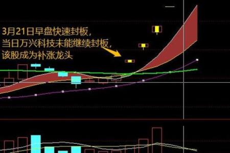 解密“龙头多条命”：探索此说法背后的深意与启示