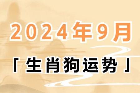 属狗人的命运与性格解析：探寻内心深处的智慧与勇气