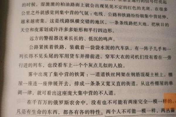 如何看命相，揭示你的命运轨迹与生活方向