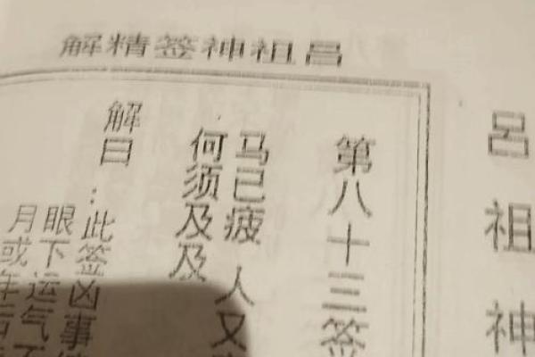 探寻“人上人、下命”之谜：命运与气质的交织