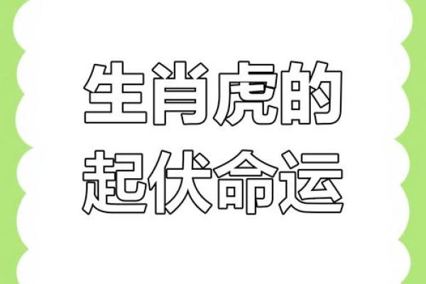 2012年属虎人的命运解析：解密你的性格与人生轨迹