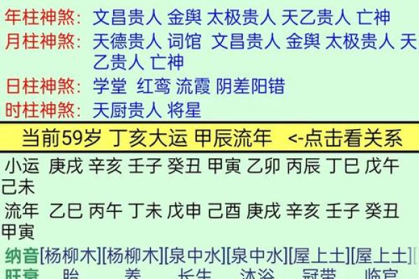 丁酉年出生者的命理解析：探寻其个性与人生轨迹