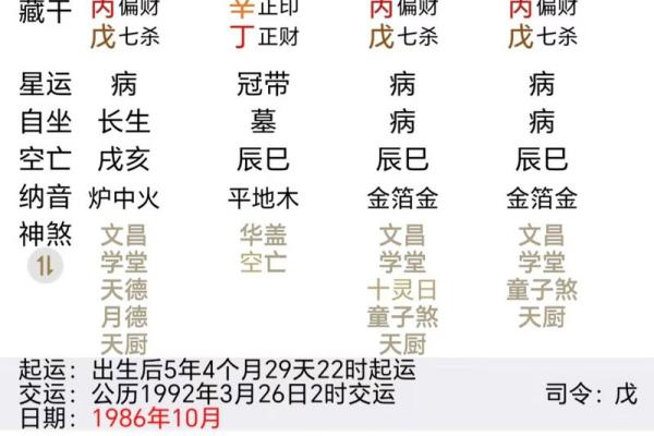 丁酉年出生者的命理解析：探寻其个性与人生轨迹