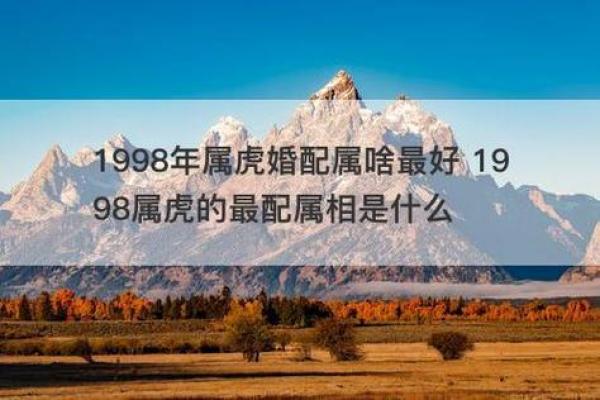 1997年属什么的命运分析与生活指导