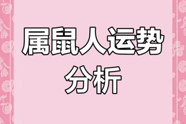 1996年属鼠的人命运解析：揭秘鼠年人的性格与运势