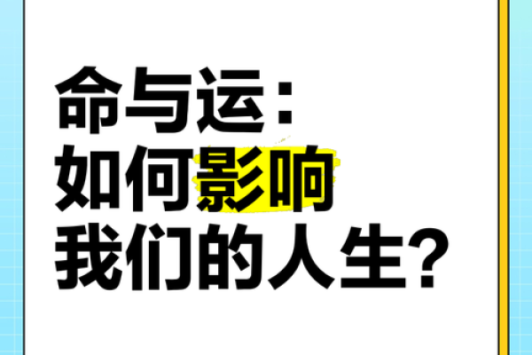 探寻枣命的奥秘：从命理角度解读人生的甜与苦