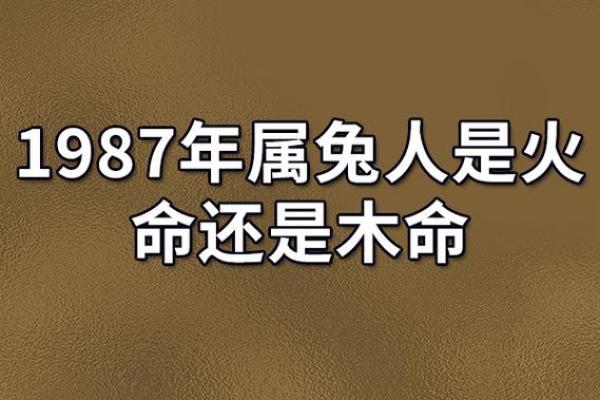 87年属兔命运解析与最佳配对指南