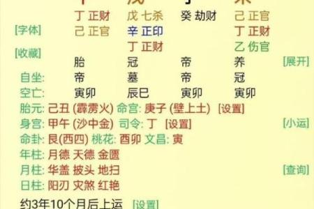 壬寅丙午辛丑癸巳命运揭示：如何把握人生机遇与挑战？