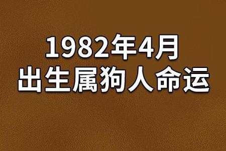 2019属狗人命运解析：揭示あなたの運命の鍵と未来的走向