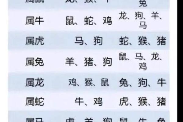 属什么的人都是什么命，揭示生肖与命运的奇妙关系