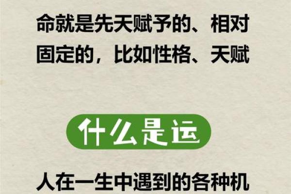 1992年出生的人命运与五行分析，揭示人生的深刻秘密