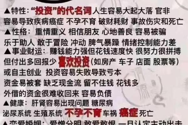 什么是秀才命：探寻命理中的学识与智慧之道