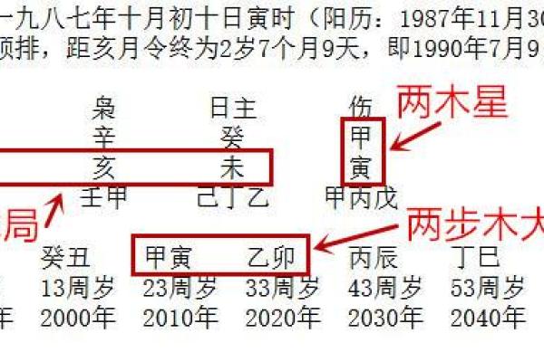 揭秘葵水命女生：她们的独特魅力与适合的风格选择