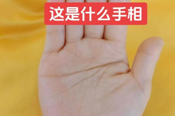 双手断掌纹：命运的秘密与人生的指引