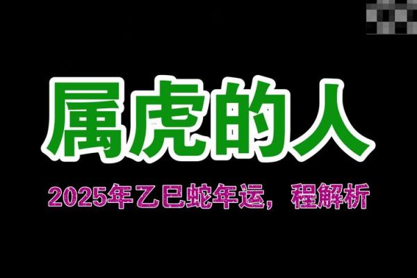 2019年属虎的命运解析：在变化中寻求机遇与挑战