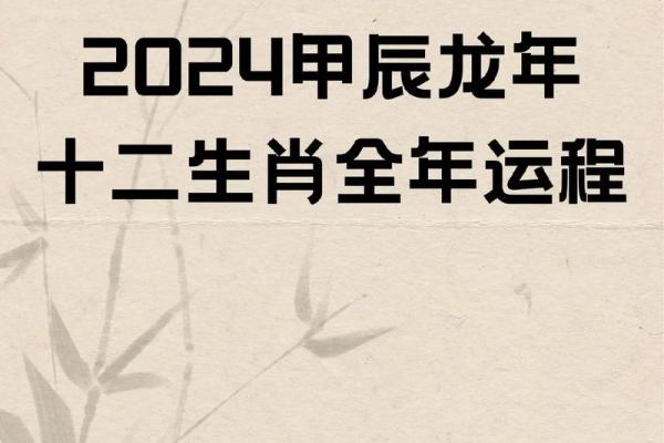 2024年生肖龙年：机遇与挑战并存的新篇章