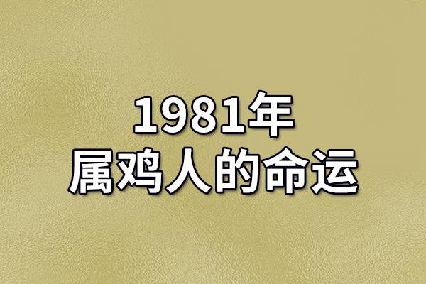 94属鸡女的命运解析：追求梦想与幸福生活的双重挑战