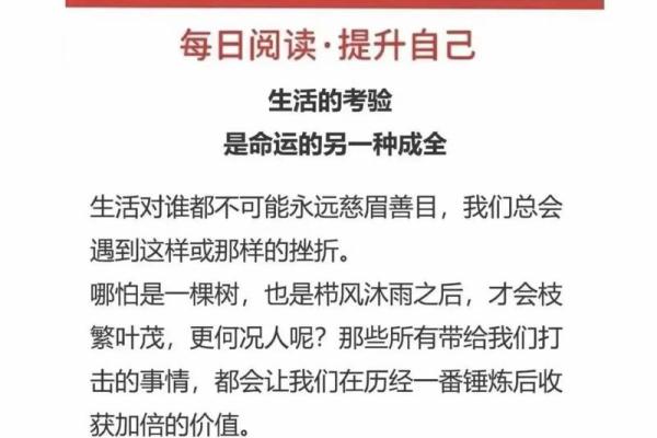 生命的魅力与命运的探寻：在成长中寻找自我