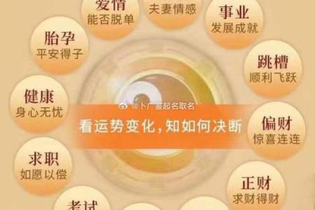 98年出生的人命运如何？揭示命理奥秘与人生方向