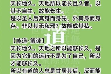 什么是秀才命：探寻命理中的学识与智慧之道