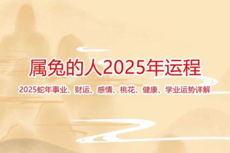 属兔的人2020年运势解析：机遇与挑战并存，如何迎接新年！