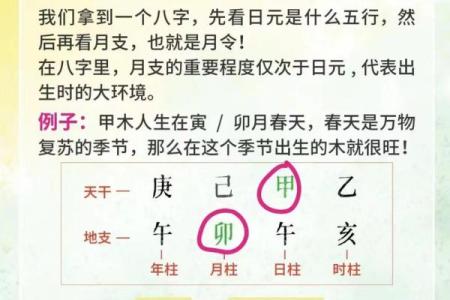 探寻命理学的奥秘：如何通过八字重塑人生道路