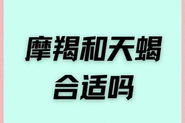 壬水命男命最佳配对：解析与女命的天作之合