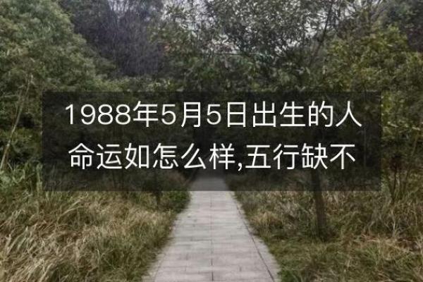 1988年腊月26日的命运与人生启示