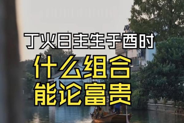 探秘丁酉年：属于那些命格的火焰与希望的旅程