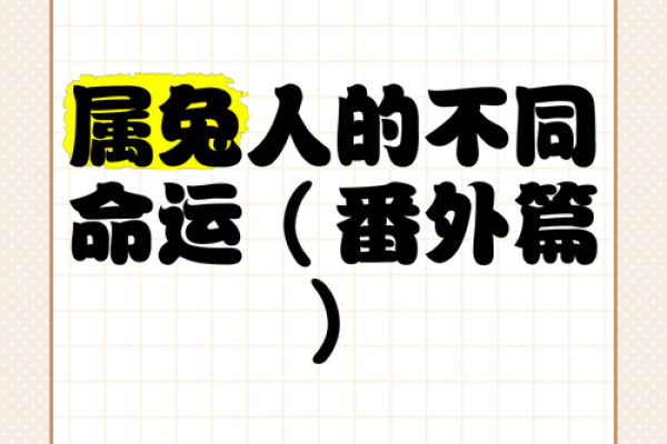 探索1983年生肖命运：兔年的信仰与智慧之旅