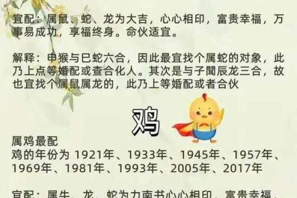 不同生肖之间的完美配对：从命运中寻找真爱