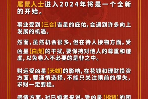 2050年鼠宝宝命运解析：探索其人生旅程与命理特征！