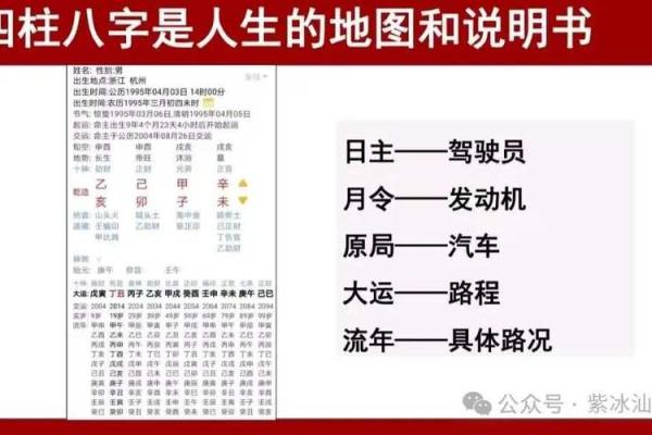 29岁属相与命理解析，揭开人生的神秘面纱