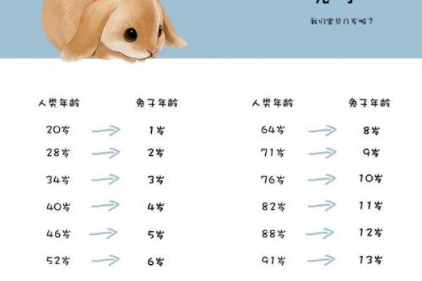 1963年兔年出生的人命运与性格解析