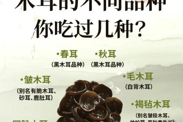 解密耳朵的秘密：露骨耳朵与命运的奇妙联系